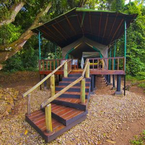 Mbali Mbali Gombe Camp