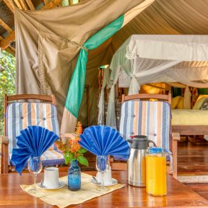 Mbali Mbali Gombe Camp