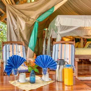 Mbali Mbali Gombe Camp