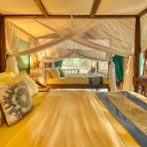 Mbali Mbali Gombe Camp