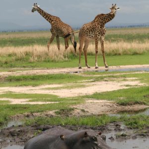 Mbali Mbali Katavi Lodge