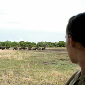 Mbali Mbali Katavi Lodge