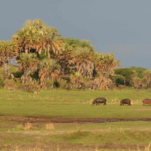 Mbali Mbali Katavi Lodge