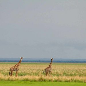 Mbali Mbali Katavi Lodge