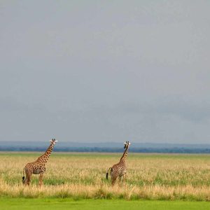 Mbali Mbali Katavi Lodge