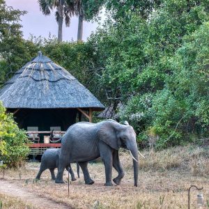 Mbali Mbali Katavi Lodge