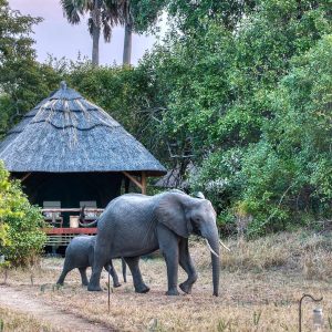 Mbali Mbali Katavi Lodge