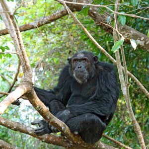 Mbali Mbali Mahale 15