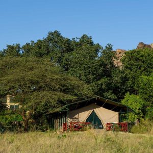 Mbuzi Mawe Serena Camp, idyllische Lage unter Bäumen