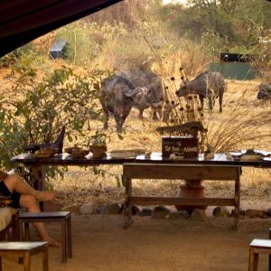 Mdonya Old River, Barfuss Lounge