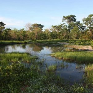 Miombo Elephant Camp Aussicht auf das Wasserloch