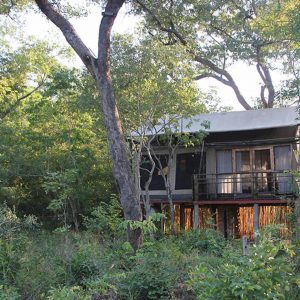 Miombo Elephant Camp Baumhaus