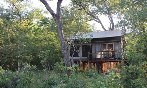 Miombo Elephant Camp Baumhaus