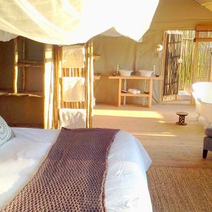 Miombo Elephant Camp Honeymoon Tent