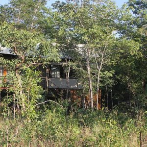 Miombo Elephant Camp Tented Suite