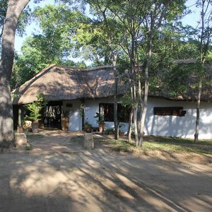 Miombo Elephant Camp