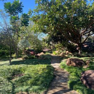 tropischer Garten im Mogi Boutique Hotel