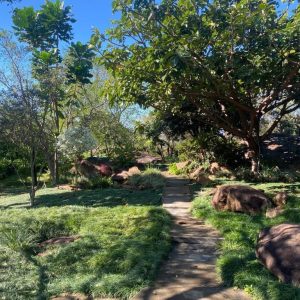 tropischer Garten im Mogi Boutique Hotel