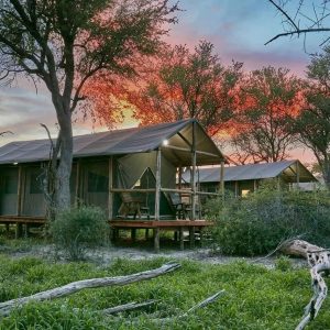 Mogogelo Camp, Zelte