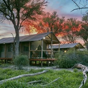 Mogogelo Camp, Zelte