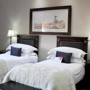 Mooiplaas Guesthouse twin Betten