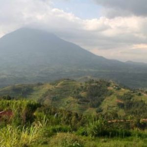 Gorilla Safari im Mount Maghinga Nationalpark, Mount Gahinga Lodge