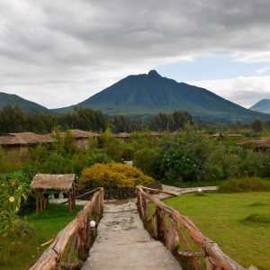 Mountain Gorilla View Lodge
