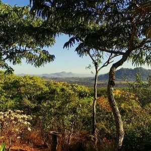 Musango Lodge Aussichten