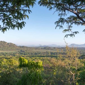 Musango Lodge