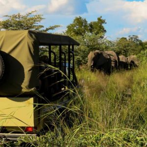 Nambwa Tented Lodge game drive