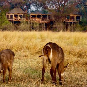 Nambwa Tented Lodge