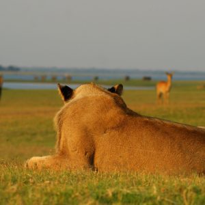 Die Gegend um das Nanzhila Camp