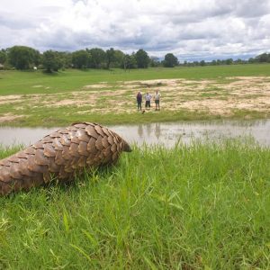 Nanzhila Lake Camp, Pirschfahrten