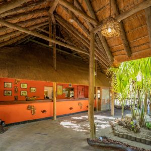 Nata Lodge, Rezeption