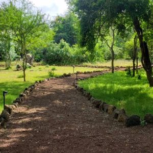 Ndarakwai Camp, Garten