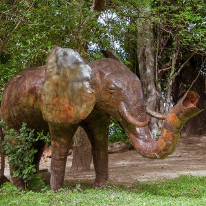 Ndhovu Safari Lodge Kunst