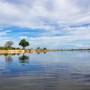 Morgenstimmung am Kavango Fluss