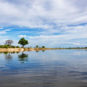 Morgenstimmung am Kavango Fluss