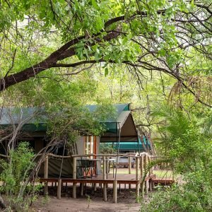 Ndhovu Safari Lodge Zelte unter schattigen Bäumen