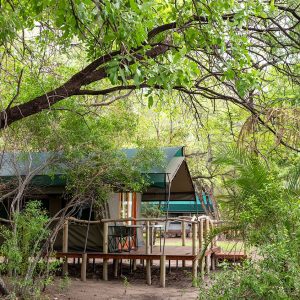 Ndhovu Safari Lodge Zelte unter schattigen Bäumen