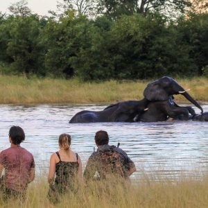 Nehimba Safari Lodge