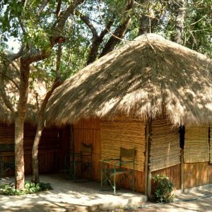 Ngepi Camp, Buschhütten unter Bäumen