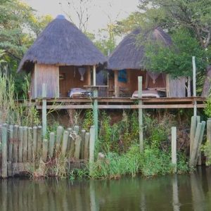 Ngepi Camp, aus dem Wasser