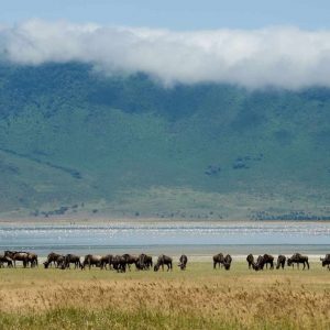 Ngorongoro Serena Lodge