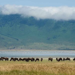 Ngorongoro Serena Lodge