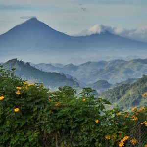 Nkuringo Bwindi Lodge Virunga Berge