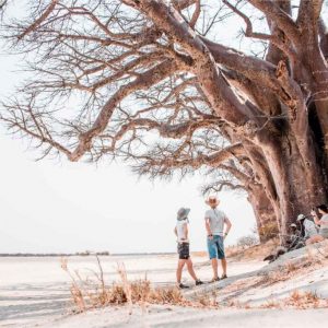 Baines Baobab Ausflug