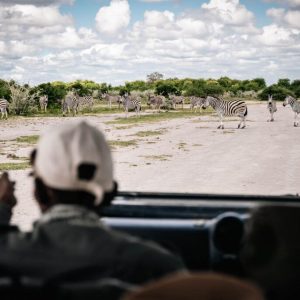 Nxai Pan Camp, auf Pirschfahrt