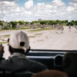 Nxai Pan Camp, auf Pirschfahrt