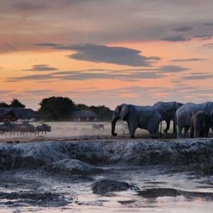 Nxai Pan Camp, Aussicht vom Nxai Pan Camp